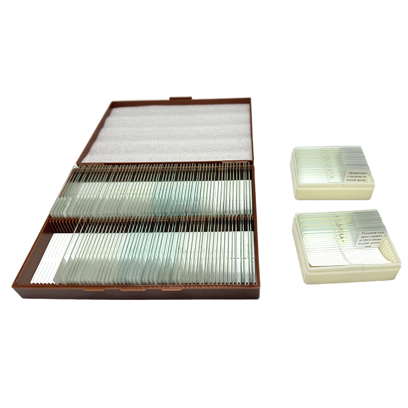 Microscope slide biology education kit, biology nature